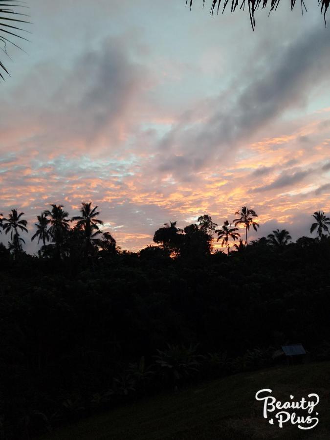 Babahan Farmstay Tabanan  Luaran gambar