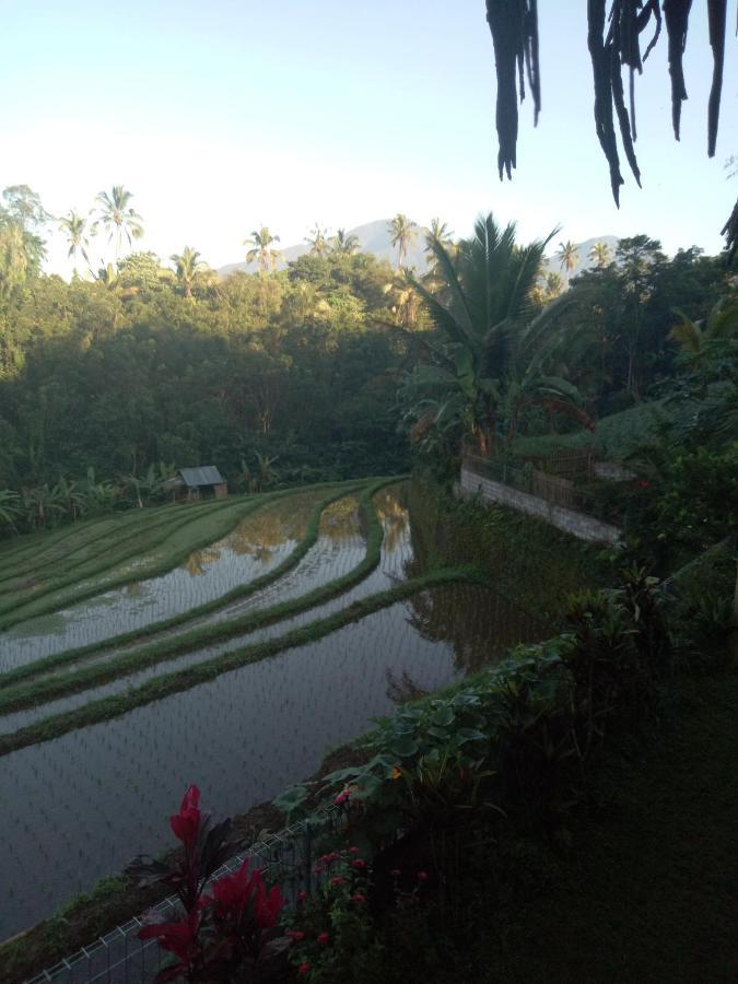 Babahan Farmstay Tabanan  Luaran gambar