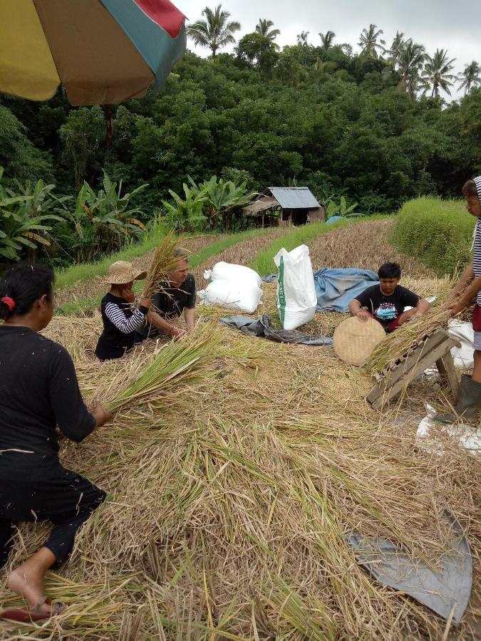 Babahan Farmstay Tabanan  Luaran gambar