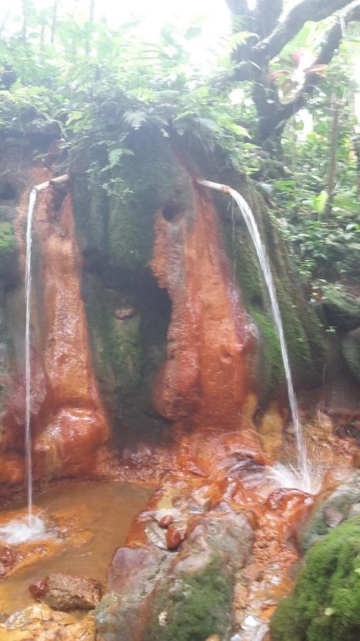 Babahan Farmstay Tabanan  Luaran gambar
