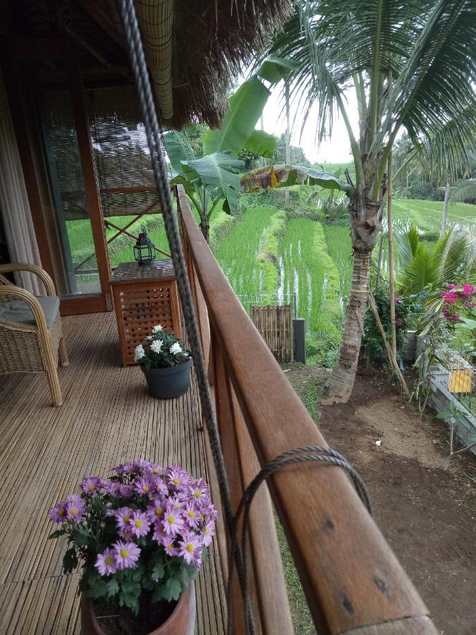 Babahan Farmstay Tabanan  Luaran gambar
