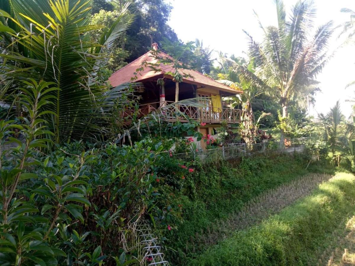Babahan Farmstay Tabanan  Luaran gambar