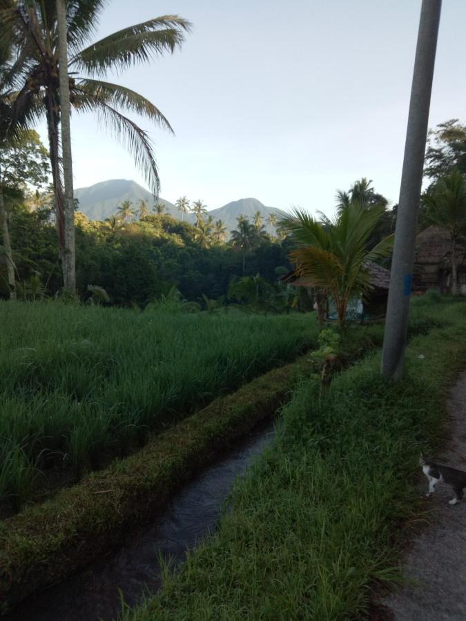 Babahan Farmstay Tabanan  Luaran gambar