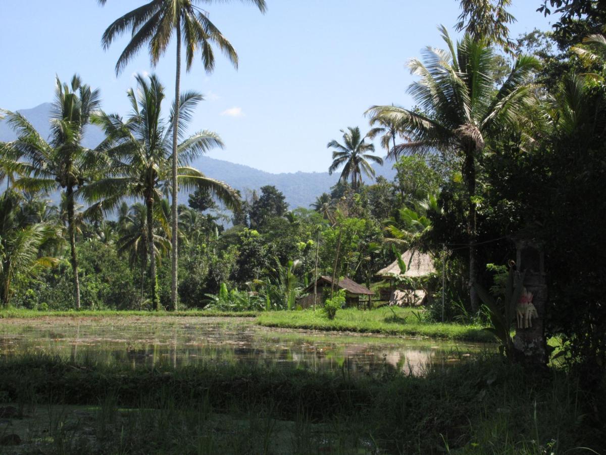 Babahan Farmstay Tabanan  Luaran gambar