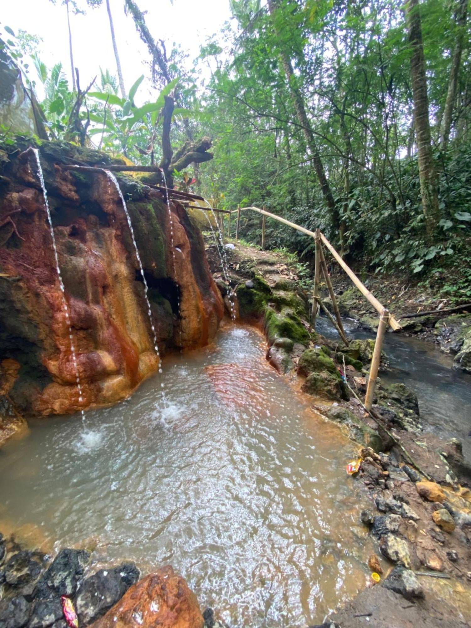 Babahan Farmstay Tabanan  Luaran gambar